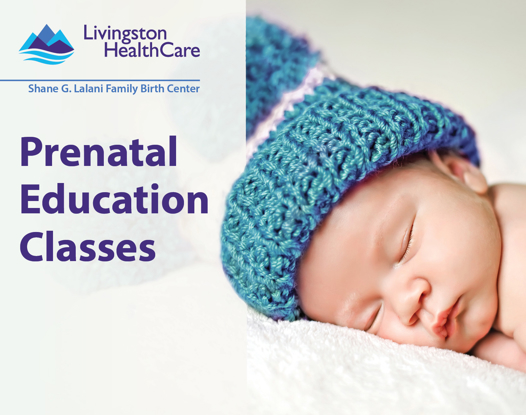 Family-Centered Prenatal Education Series: One-day Prenatal Class