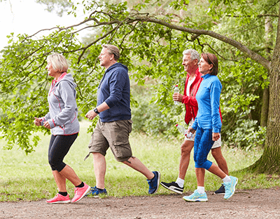 Walk with Ease Program
